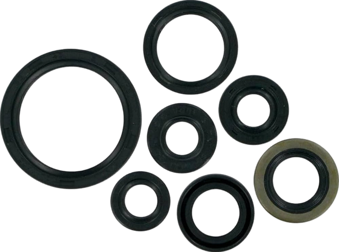What Is an Oil Seal?