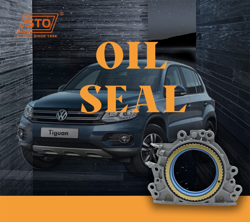 VW Oil Seal 