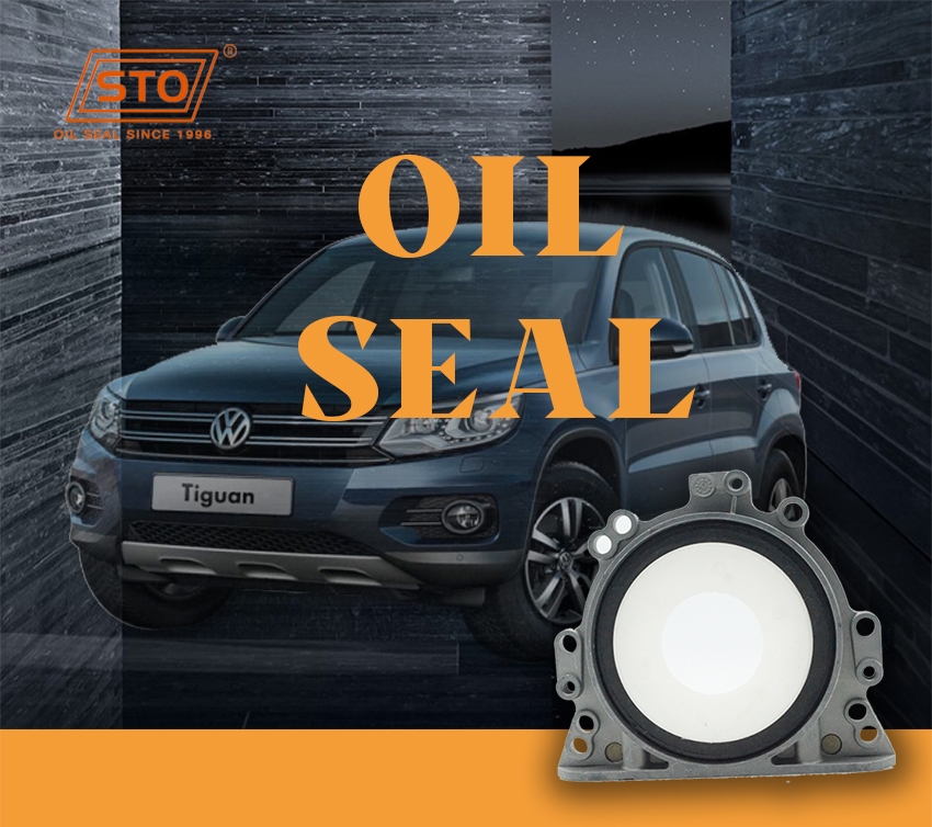 VW Oil Seal-3