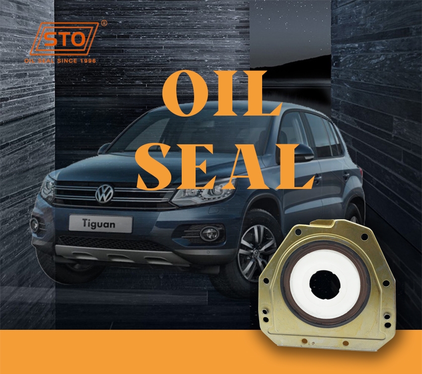 VW Oil Seal-1