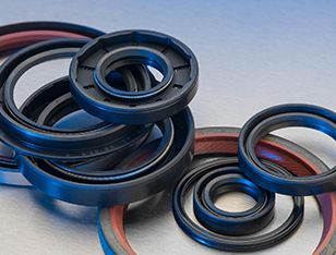 About Oil Seals